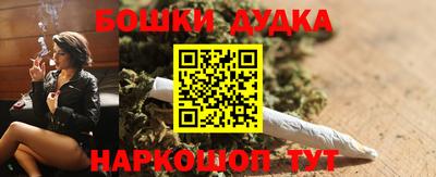 тгк Обь