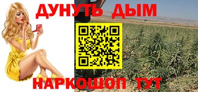 тгк Обь